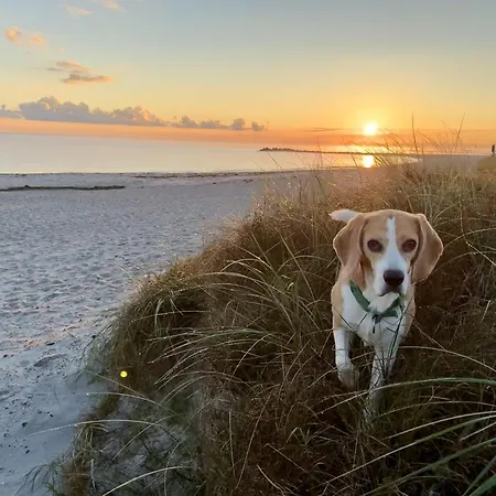 Westwind Mit Terrasse Direkt Am Apartament Kalifornien